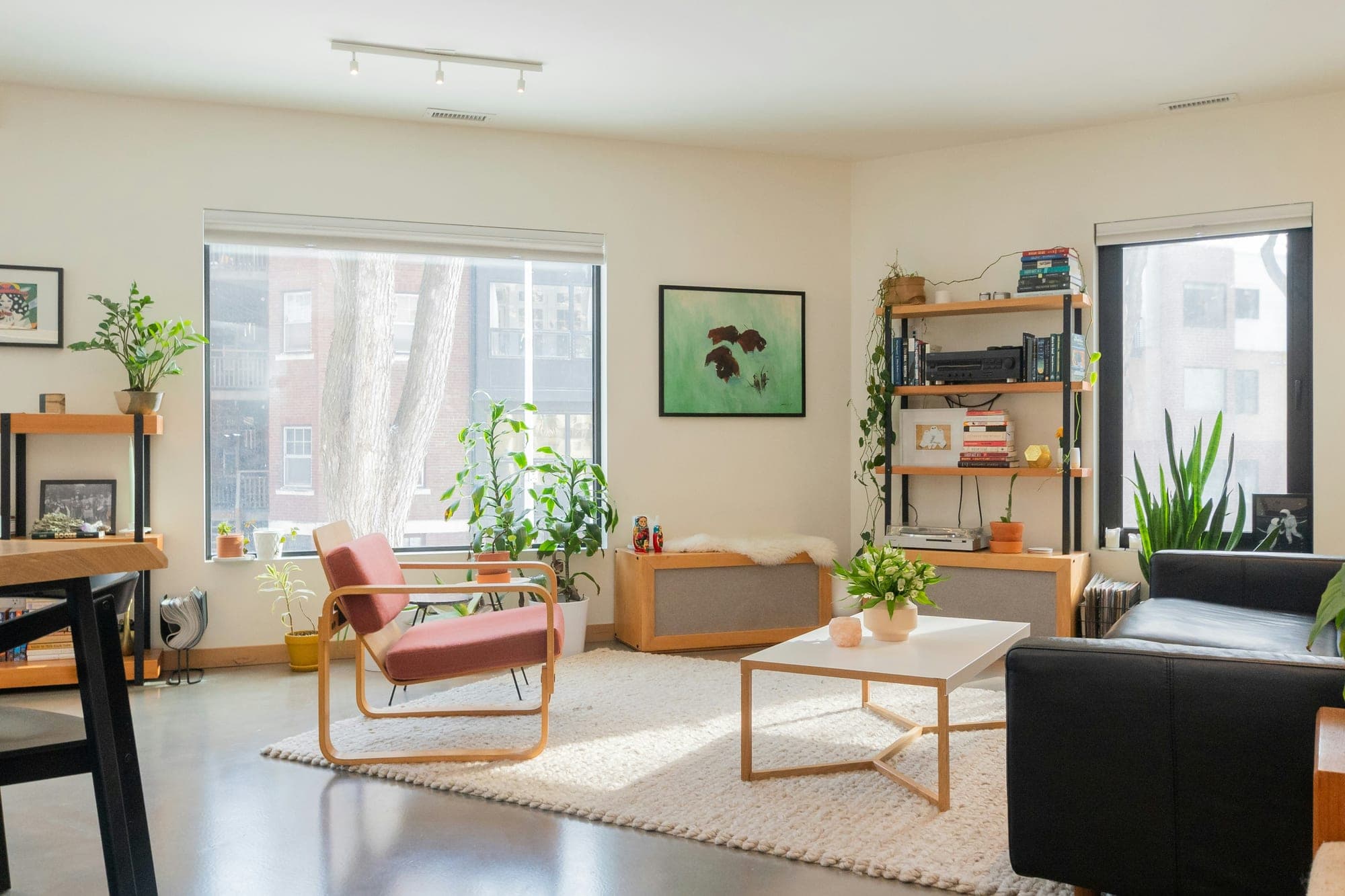 Open plan with natural light